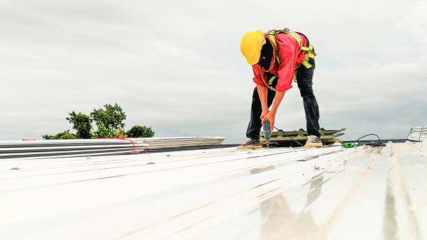 Best Slate Roofing  in Nowthen, MN
